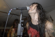 VIOLATOR